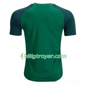 Billige Fotballdrakter Kamerun Hjemmedraktsett VM - Kvinner 2019 Kortermet